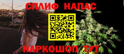 сатива Усть-Джегута