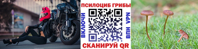 магазин    кракен ССЫЛКА  Галлюциногенные грибы прущие грибы  Магадан 
