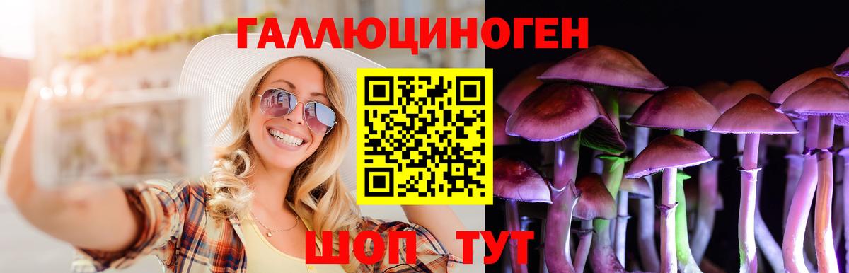 Псилоцибиновые грибы мицелий  Вход с VPN  Магадан 